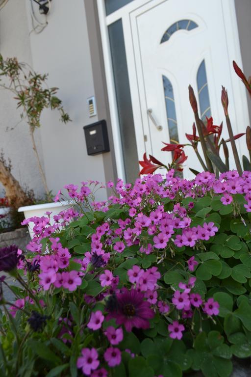 Amalia'S Apartments Κίσσαμος Εξωτερικό φωτογραφία